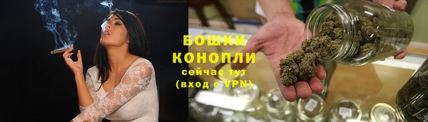 индика Белоозёрский